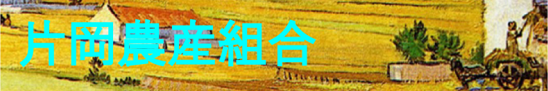 ʿ�ͻ��Ҳ��������ȹ�_�Ҳ������ȹ�